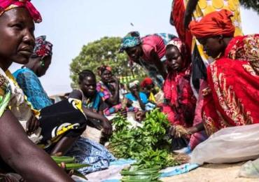 Urgence alimentaire dans la Corne de l'Afrique : la pire sécheresse de ces quarante dernières années