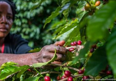 Avec de vastes terres arables, pourquoi l'Afrique a-t-elle besoin d'importer des céréales ?