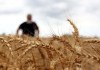 Qui crée la faim dans le monde ?